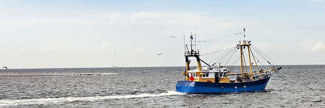 Trawler-660x220